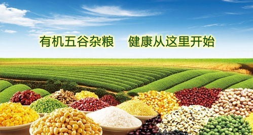 有机食品的十重惊喜 你知道这些隐藏的好处吗？
