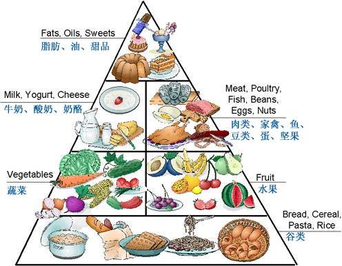 食物金字塔 现代健康饮食的指南针